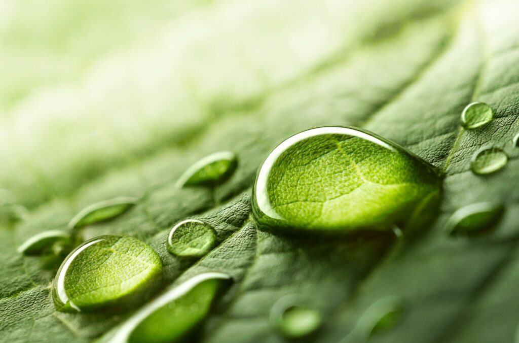 AdobeStock