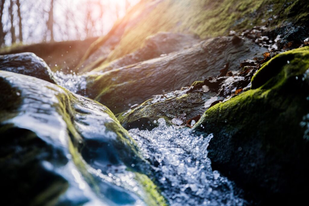 AdobeStock